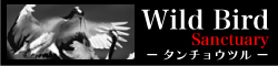 ^`Ec
